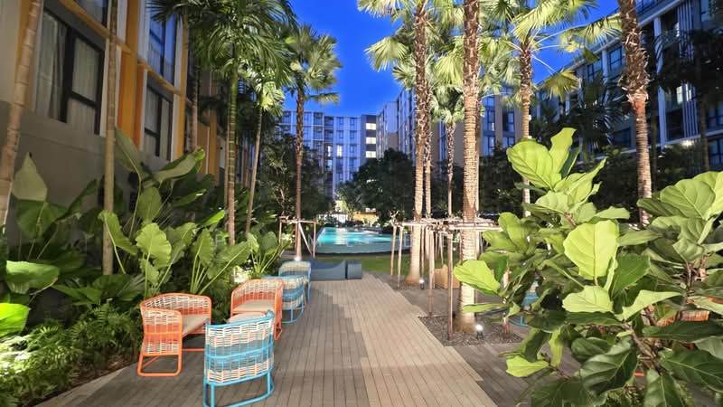 The Base Rise, ภูเก็ต, วิชิต, เมืองภูเก็ต, ภูเก็ต, 25 ตร.ม., คอนโด ให้เช่า, โดย Prime Dew, 500297656 - DDproperty.com