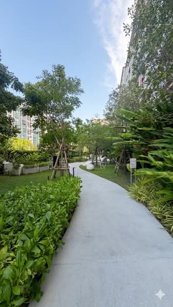 ให้เช่า - Dcondo Sand Hatyai : ดีคอนโด แซนด์ หาดใหญ่, สงขลา