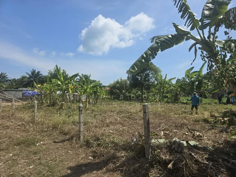 ราไวย, Phuket, Rawai, Muang Phuket, Phuket, , 660 sqm, Land For Sale, by Saipiroon Yapanchai, 500297681 - DDproperty.com