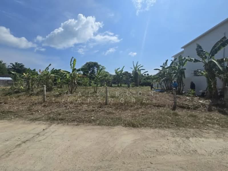 ราไวย, Phuket, Rawai, Muang Phuket, Phuket, , 660 sqm, Land For Sale, by Saipiroon Yapanchai, 500297681 - DDproperty.com