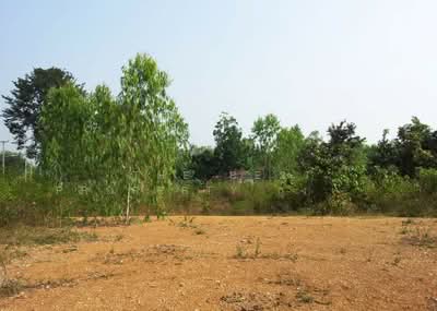 ขาย - ที่ดินปากท่อ ราชบุรี, ราชบุรี