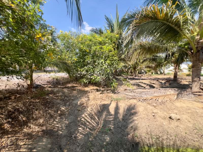 ที่ดินท่าม่วง กาญจนบุรี, Kanchanaburi, Tha Ta Khro, Tha Muang, Kanchanaburi, , 3,256 sqm, Land For Sale, by The Best Property ป้อมแป๋ม, 500297688 - DDproperty.com