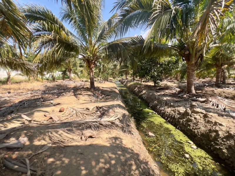 ที่ดินท่าม่วง กาญจนบุรี, Kanchanaburi, Tha Ta Khro, Tha Muang, Kanchanaburi, , 3,256 sqm, Land For Sale, by The Best Property ป้อมแป๋ม, 500297688 - DDproperty.com
