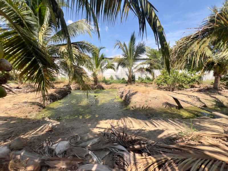 ที่ดินท่าม่วง กาญจนบุรี, Kanchanaburi, Tha Ta Khro, Tha Muang, Kanchanaburi, , 3,256 sqm, Land For Sale, by The Best Property ป้อมแป๋ม, 500297688 - DDproperty.com
