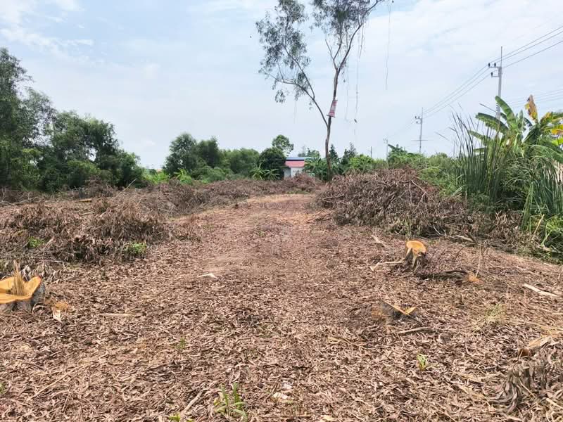 ที่ดินคลองหลวง ปทุมธานี, Pathum Thani, Khlong Ha, Khlong Luang, Pathum Thani, , 1,600 sqm, Land For Sale, by The Best Property ปุ๋ม, 500297706 - DDproperty.com
