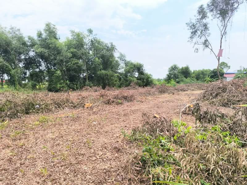 ที่ดินคลองหลวง ปทุมธานี, Pathum Thani, Khlong Ha, Khlong Luang, Pathum Thani, , 1,600 sqm, Land For Sale, by The Best Property ปุ๋ม, 500297706 - DDproperty.com