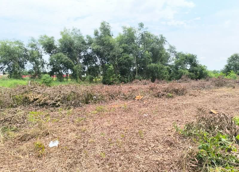 ที่ดินคลองหลวง ปทุมธานี, Pathum Thani, Khlong Ha, Khlong Luang, Pathum Thani, , 1,600 sqm, Land For Sale, by The Best Property ปุ๋ม, 500297706 - DDproperty.com