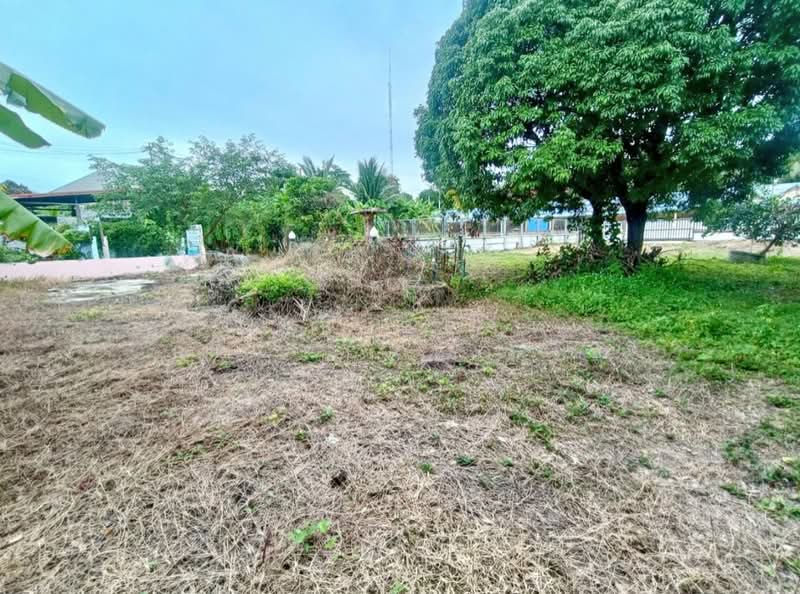 ที่ดินบางคนที สมุทรสงคราม, Samut Songkhram, Kradangnga, Bang Khon Ti, Samut Songkhram, , 1,628 sqm, Land For Sale, by The Best Property โอ๋, 500297731 - DDproperty.com