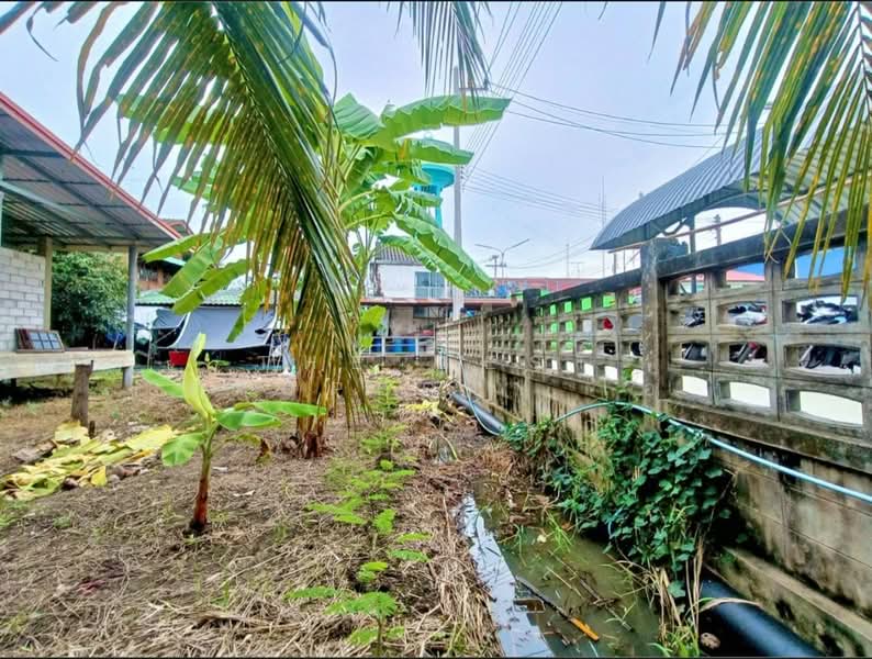 ที่ดินบางคนที สมุทรสงคราม, Samut Songkhram, Kradangnga, Bang Khon Ti, Samut Songkhram, , 1,628 sqm, Land For Sale, by The Best Property โอ๋, 500297731 - DDproperty.com