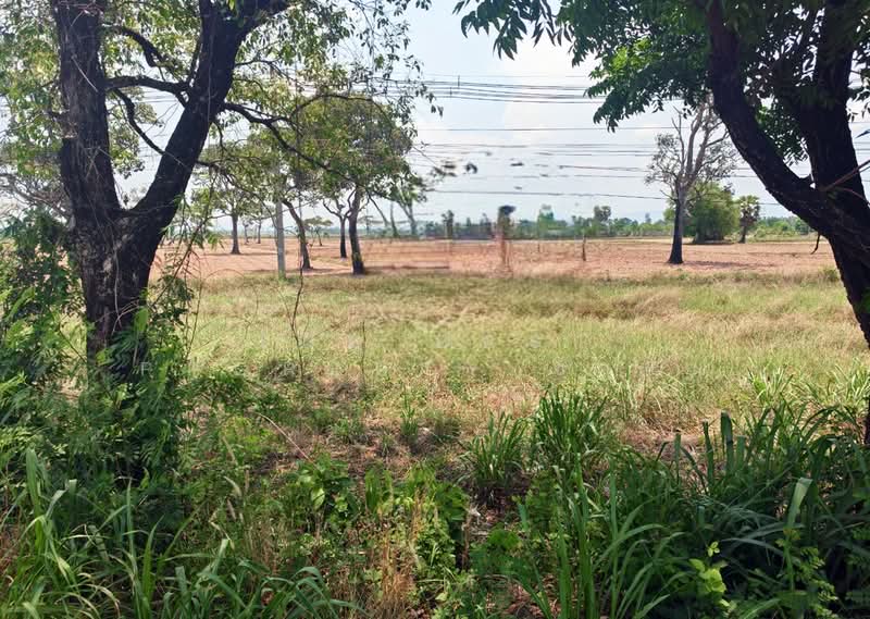 ที่ดินนาดี ปราจีนบุรี, ปราจีนบุรี, นาดี, นาดี, ปราจีนบุรี, 37,532 ตร.ม., ที่ดิน ขาย, โดย The Best Property ซายน์, 500297745 - DDproperty.com