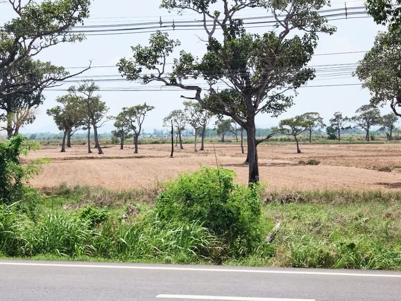 ที่ดินนาดี ปราจีนบุรี, Prachin Buri, Na Di, Prachin Buri, , 37,532 sqm, Land For Sale, by The Best Property ซายน์, 500297745 - DDproperty.com