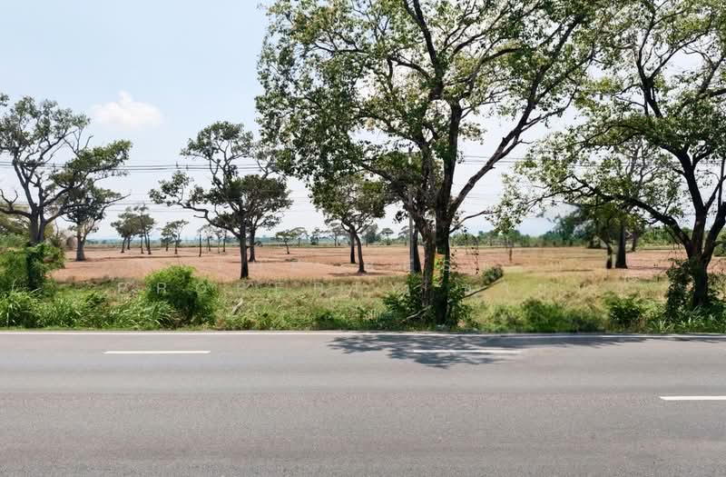 ที่ดินนาดี ปราจีนบุรี, Prachin Buri, Na Di, Prachin Buri, , 37,532 sqm, Land For Sale, by The Best Property ซายน์, 500297745 - DDproperty.com