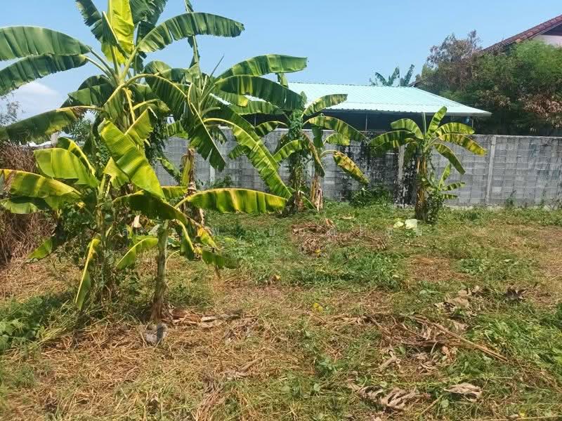 For Sale - ขายที่ดินเปล่าถมแล้ว เนื้อที่ 60 ตารางวา ถนนพุทธมณฑล สาย 2 แขวงศาลาธรรมสพน์ เขตทวีวัฒนา กรุงเทพ, Bangkok