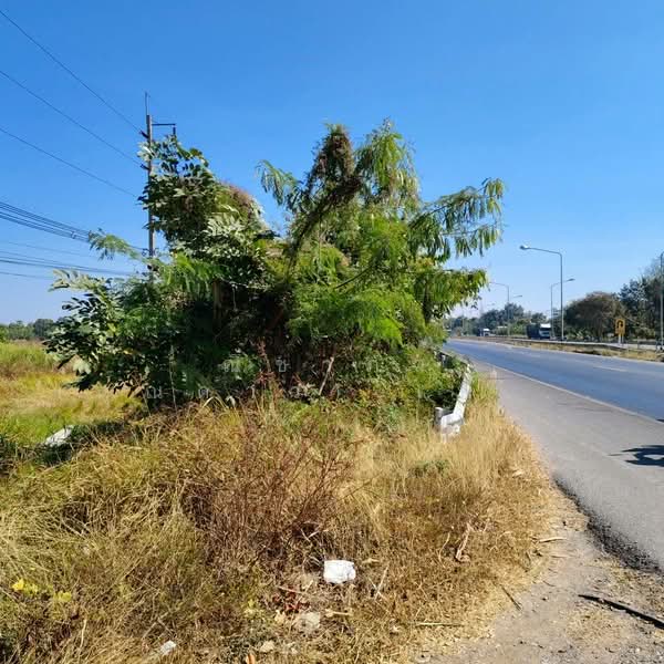 ถนนเลี่ยงเมืองขอนแก่นเส้น 230 ตำบลสำราญ อำเภอเมืองขอนแก่น จังหวัดขอนแก่น, ขอนแก่น, ใกล้ถนนเลี่ยงเมืองเส้น 230, สำราญ, เมืองขอนแก่น, ขอนแก่น, 5,928 ตร.ม., ที่ดิน ขาย, โดย ณิชาภา (คุณดาว) เพียจันทร์, 500297752 - DDproperty.com
