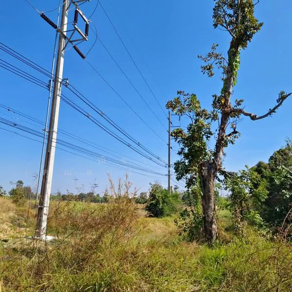 ถนนเลี่ยงเมืองขอนแก่นเส้น 230 ตำบลสำราญ อำเภอเมืองขอนแก่น จังหวัดขอนแก่น, ขอนแก่น, ใกล้ถนนเลี่ยงเมืองเส้น 230, สำราญ, เมืองขอนแก่น, ขอนแก่น, 5,928 ตร.ม., ที่ดิน ขาย, โดย ณิชาภา (คุณดาว) เพียจันทร์, 500297752 - DDproperty.com
