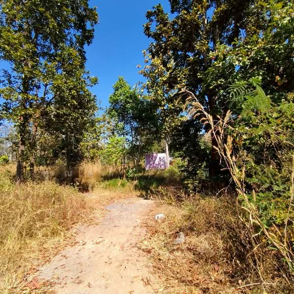Land For Sale KhonKaen City, Khon Kaen, ใกล้ถนนเลี่ยงเมืองเส้น 230, Samran, Muang Khon Kaen, Khon Kaen, , 5,928 sqm, Land For Sale, by Nichapa Phiachan, 500297752 - DDproperty.com