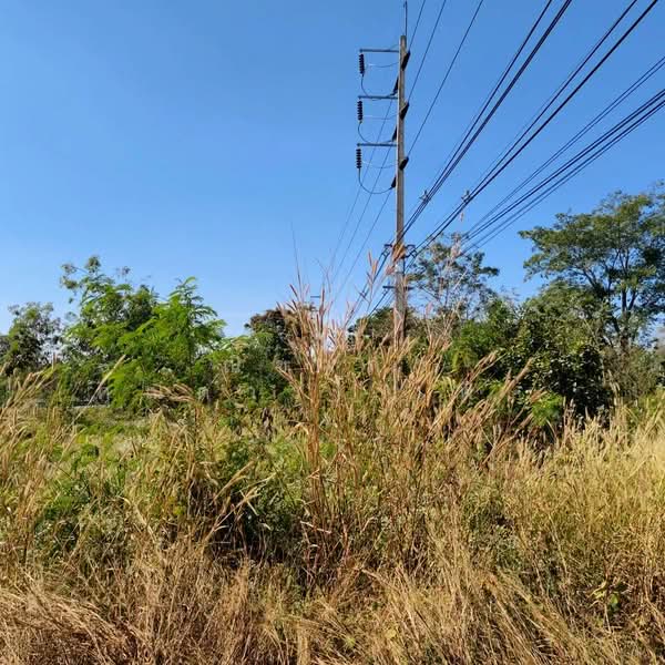 ถนนเลี่ยงเมืองขอนแก่นเส้น 230 ตำบลสำราญ อำเภอเมืองขอนแก่น จังหวัดขอนแก่น, ขอนแก่น, ใกล้ถนนเลี่ยงเมืองเส้น 230, สำราญ, เมืองขอนแก่น, ขอนแก่น, 5,928 ตร.ม., ที่ดิน ขาย, โดย ณิชาภา (คุณดาว) เพียจันทร์, 500297752 - DDproperty.com