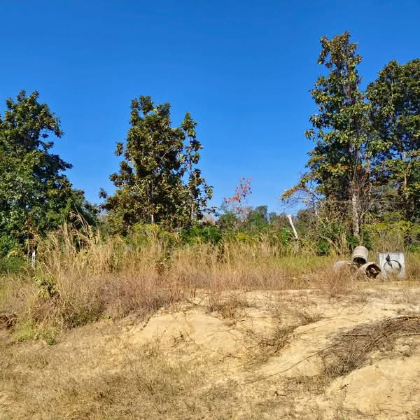 Land For Sale KhonKaen City, Khon Kaen, ใกล้ถนนเลี่ยงเมืองเส้น 230, Samran, Muang Khon Kaen, Khon Kaen, , 5,928 sqm, Land For Sale, by Nichapa Phiachan, 500297752 - DDproperty.com