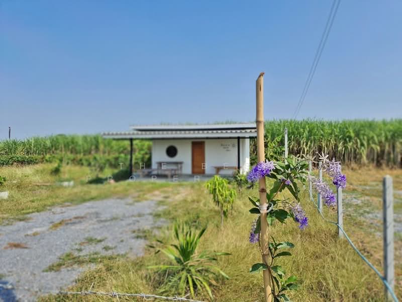 For Sale - บ้านเดี่ยวพร้อมที่ดินกำแพงแสน นครปฐม, Nakhon Pathom