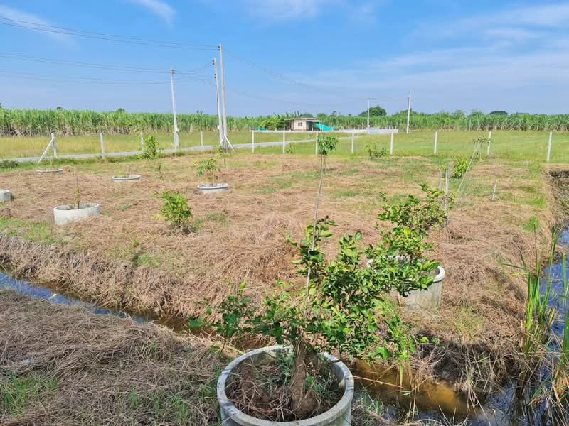 For Sale - บ้านเดี่ยวพร้อมที่ดินกำแพงแสน นครปฐม, Nakhon Pathom