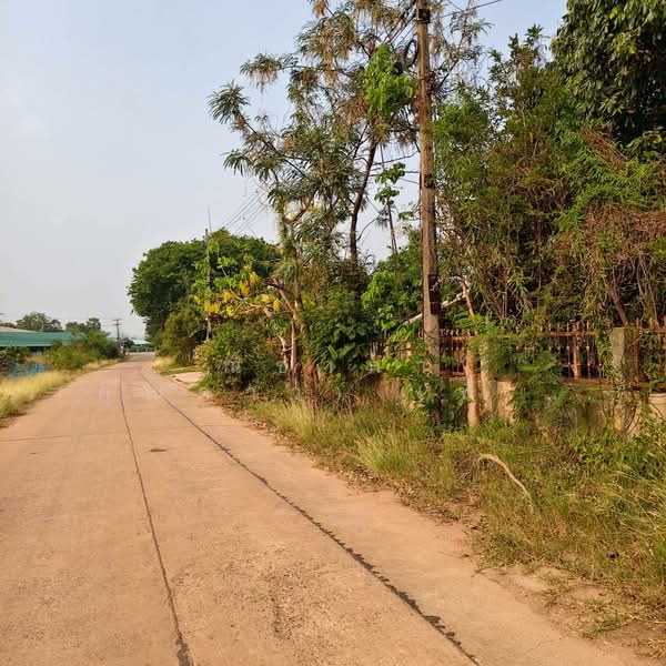 บ้านสำราญ ตำบลสำราญ อำเภอเมืองขอนแก่น จังหวัดขอนแก่น, ขอนแก่น, ถนนหมู่บ้านสำราญ, สำราญ, เมืองขอนแก่น, ขอนแก่น, 6,720 ตร.ม., ที่ดิน ขาย, โดย ณิชาภา (คุณดาว) เพียจันทร์, 500297781 - DDproperty.com
