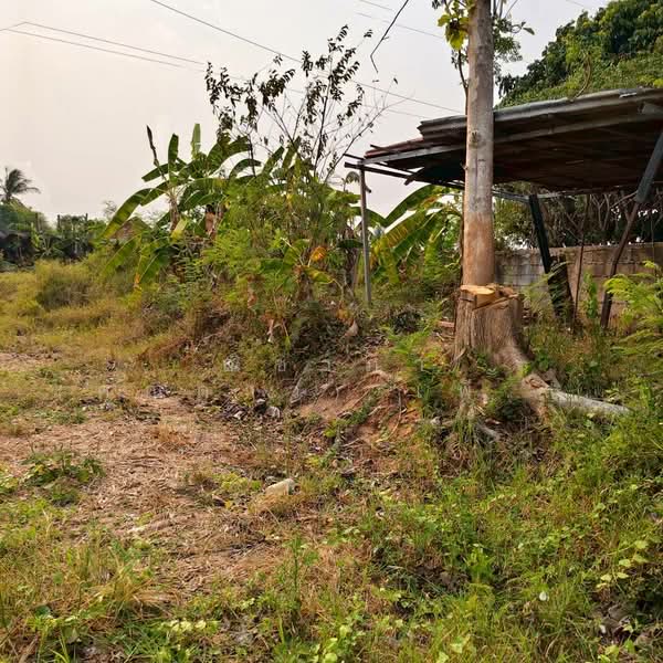 บ้านสำราญ ตำบลสำราญ อำเภอเมืองขอนแก่น จังหวัดขอนแก่น, ขอนแก่น, ถนนหมู่บ้านสำราญ, สำราญ, เมืองขอนแก่น, ขอนแก่น, 6,720 ตร.ม., ที่ดิน ขาย, โดย ณิชาภา (คุณดาว) เพียจันทร์, 500297781 - DDproperty.com