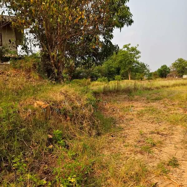 บ้านสำราญ ตำบลสำราญ อำเภอเมืองขอนแก่น จังหวัดขอนแก่น, ขอนแก่น, ถนนหมู่บ้านสำราญ, สำราญ, เมืองขอนแก่น, ขอนแก่น, 6,720 ตร.ม., ที่ดิน ขาย, โดย ณิชาภา (คุณดาว) เพียจันทร์, 500297781 - DDproperty.com