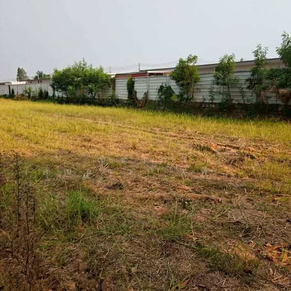 Land For Sale KhonKaen city, Khon Kaen, ถนนหมู่บ้านสำราญ, Samran, Muang Khon Kaen, Khon Kaen, , 6,720 sqm, Land For Sale, by Nichapa Phiachan, 500297781 - DDproperty.com