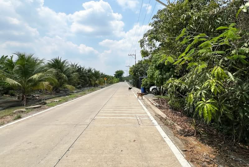 บ้านเดี่ยวพร้อมที่ดินกระทุ่มแบน สมุทรสาคร, Samut Sakhon, Tha Mai, Krathum Baen, Samut Sakhon, 3 Bedrooms, 100 sqm, Single Detached House For Sale, by The Best Property เก๋เก๋, 500297805 - DDproperty.com