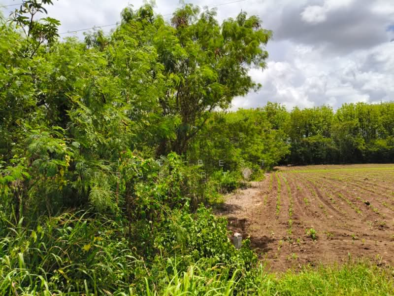 ที่ดินวังน้ำเย็น สระแก้ว, Sa Kaeo, Wang Nam Yen, Wang Nam Yen, Sa Kaeo, , 1,600 sqm, Land For Sale, by The Best Property ยุ, 500297813 - DDproperty.com