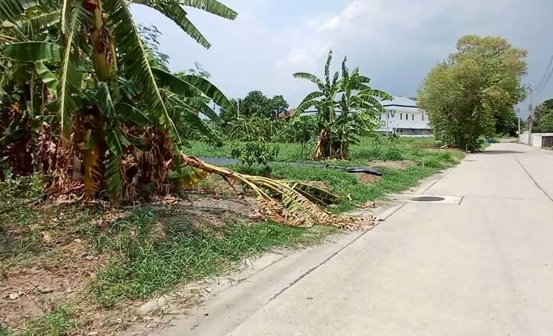 ที่ดินบางเขน กรุงเทพมหานคร, Bangkok, Tha Rang, Bang Khen, Bangkok, , 680 sqm, Land For Sale, by The Best Property บอส, 500297825 - DDproperty.com