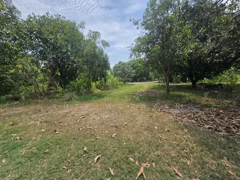 คลองสี่, Pathum Thani, Khlong Si, Khlong Luang, Pathum Thani, , 160,000 sqm, Land For Sale, by Chisa Suttiworakan, 500297860 - DDproperty.com