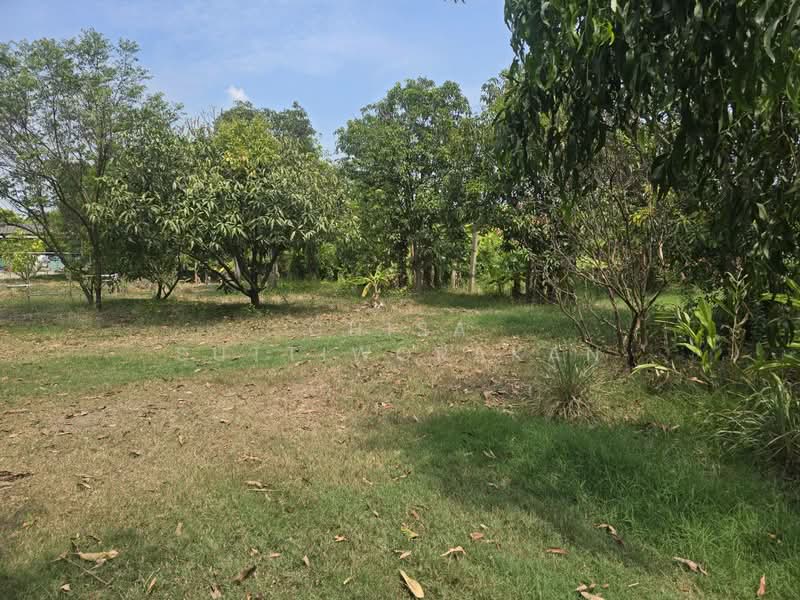 คลองสี่, Pathum Thani, Khlong Si, Khlong Luang, Pathum Thani, , 160,000 sqm, Land For Sale, by Chisa Suttiworakan, 500297860 - DDproperty.com