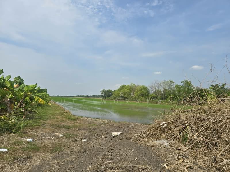 คลองสี่, Pathum Thani, Khlong Si, Khlong Luang, Pathum Thani, , 160,000 sqm, Land For Sale, by Chisa Suttiworakan, 500297860 - DDproperty.com
