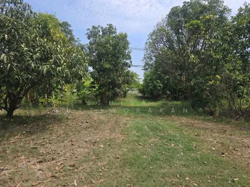 คลองสี่, ปทุมธานี, คลองสี่, คลองหลวง, ปทุมธานี, 160,000 ตร.ม., ที่ดิน ขาย, โดย Chisa Suttiworakan, 500297860 - DDproperty.com