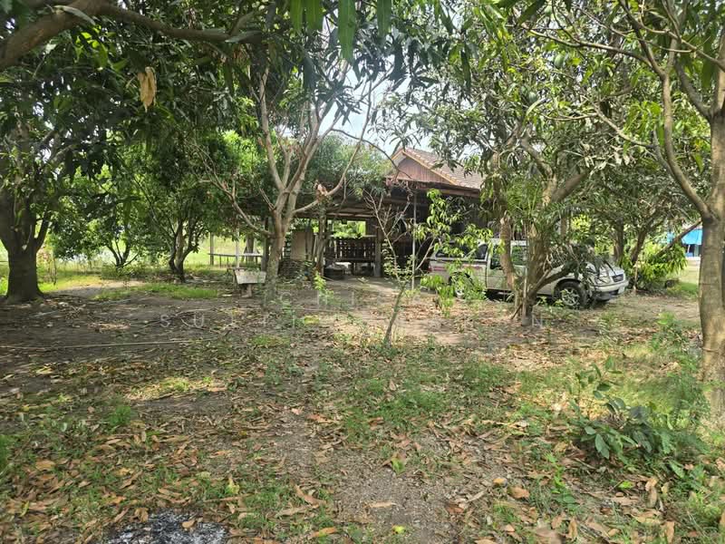 คลองสี่, ปทุมธานี, คลองสี่, คลองหลวง, ปทุมธานี, 160,000 ตร.ม., ที่ดิน ขาย, โดย Chisa Suttiworakan, 500297860 - DDproperty.com
