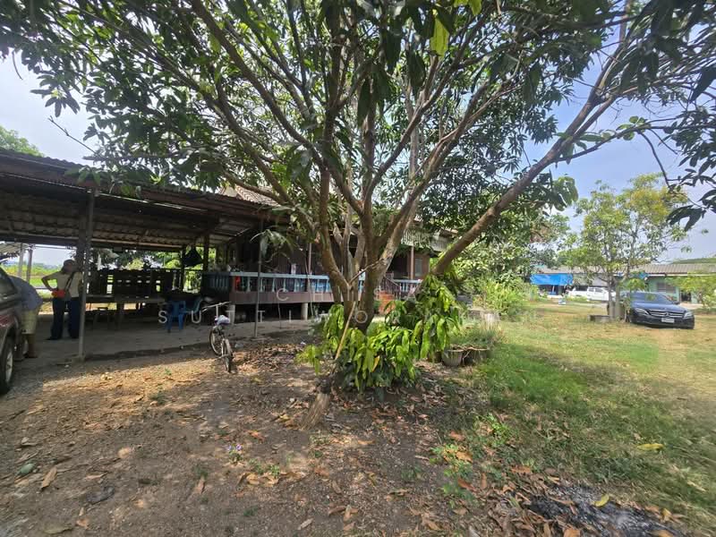 คลองสี่, ปทุมธานี, คลองสี่, คลองหลวง, ปทุมธานี, 160,000 ตร.ม., ที่ดิน ขาย, โดย Chisa Suttiworakan, 500297860 - DDproperty.com