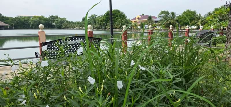 Mubaan Suetong, Bangkok, นวมินทร์, Nuan Chan, Bueng Kum, Bangkok, 2 Bedrooms, 160 sqm, Townhouse For Sale, by Wanita Intranilodom, 500297885 - DDproperty.com