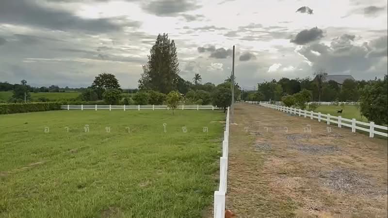 ขาย ที่ดินจัดสรร เขาใหญ่ อำเภอปากช่อง สำหรับปลูกบ้านพัก วิวภูเขา บรรยากาศดี, นครราชสีมา, วังไทร, ปากช่อง, นครราชสีมา, 480 ตร.ม., ที่ดิน ขาย, โดย อาทิชา โชตจิราวณิช, 500297959 - DDproperty.com