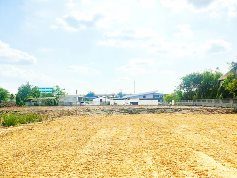 ไม่พบโครงการ, Pathum Thani, ลำลูกกา รังสิต-นครนายก, Khu Khot, Lam Luk Ka, Pathum Thani, , 3,040 sqm, Land For Rent, by ณัฐพงศ์ สุนทรอรุณ, 500298366 - DDproperty.com