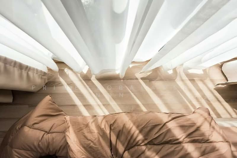 The Base Height Phuket, Phuket, 359 Soi Hongyok Utis Yaowarat Road, Talat Yai, Muang Phuket, Phuket, 1 Bedroom, 33 sqm, Condo For Rent, by primeglobalasset Nony, 500298504 - DDproperty.com