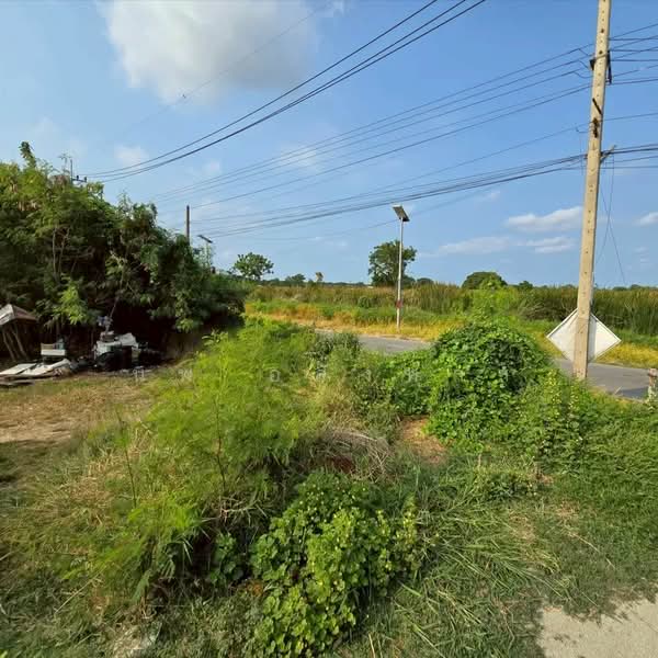 ขายที่ดินบางบ่อ สมุทรปราการ, สมุทรปราการ, คลองด่าน, บางบ่อ, สมุทรปราการ, 8,000 ตร.ม., ที่ดิน ขาย, โดย นพ อสังหาฯ, 500298540 - DDproperty.com
