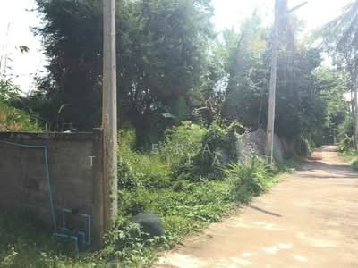 ขาย - ที่ดินสวย บรรยากาศดี อ.ลอง จ.แพร่, แพร่