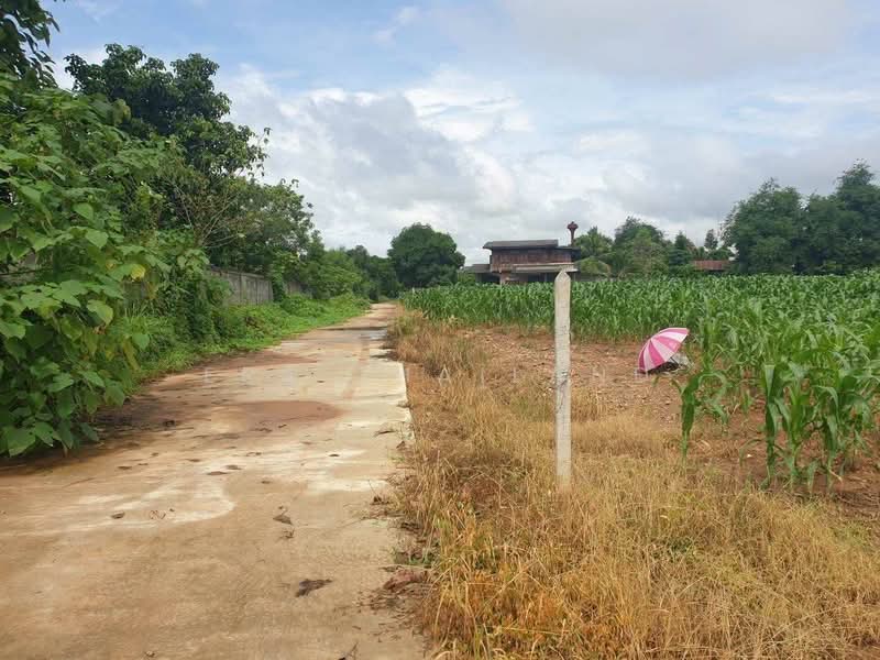 ที่ดินผืนงาม ติดแม่น้ำยม - วิวเขาโอบล้อม อ.ลอง จ.แพร่, Phrae, Thung Laeng, Long, Phrae, , 4,068 sqm, Land For Sale, by ERA Thailand, 500298569 - DDproperty.com