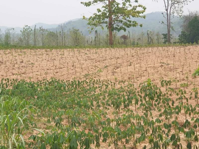 ที่ดินผืนงาม ติดแม่น้ำยม - วิวเขาโอบล้อม อ.ลอง จ.แพร่, Phrae, Thung Laeng, Long, Phrae, , 4,068 sqm, Land For Sale, by ERA Thailand, 500298569 - DDproperty.com