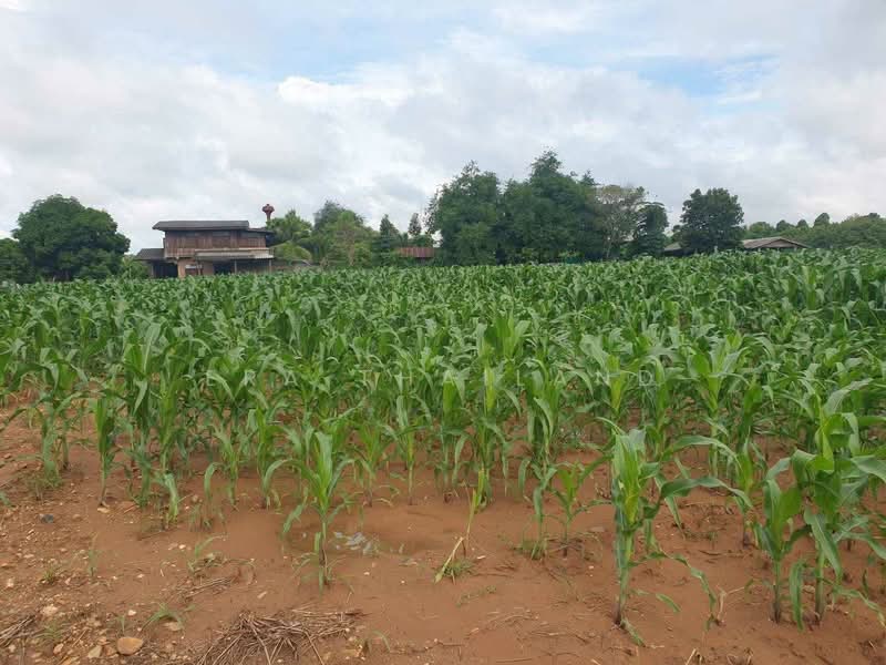 ที่ดินผืนงาม ติดแม่น้ำยม - วิวเขาโอบล้อม อ.ลอง จ.แพร่, Phrae, Thung Laeng, Long, Phrae, , 4,068 sqm, Land For Sale, by ERA Thailand, 500298569 - DDproperty.com