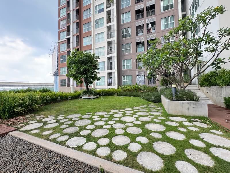 Aspire Rattanatibet 1, Nonthaburi, 678 Rattanathibet Road, Bang Kra So, Muang Nonthaburi, Nonthaburi, 1 Bedroom, 31 sqm, Condo For Rent, by Supaporn Sekajarn, 500298572 - DDproperty.com