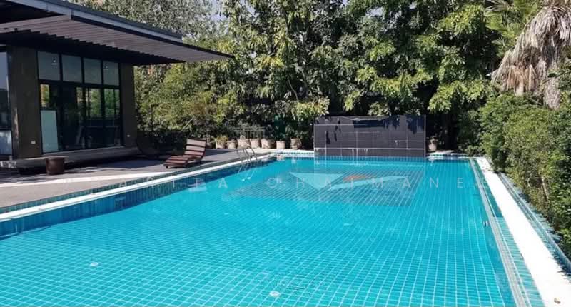 The Vidi Condominium, Chiang Mai, Chang Phuak, Muang Chiang Mai, Chiang Mai, 1 Bedroom, 45 sqm, Condo For Rent, by Pharita Chaimanee, 500298679 - DDproperty.com