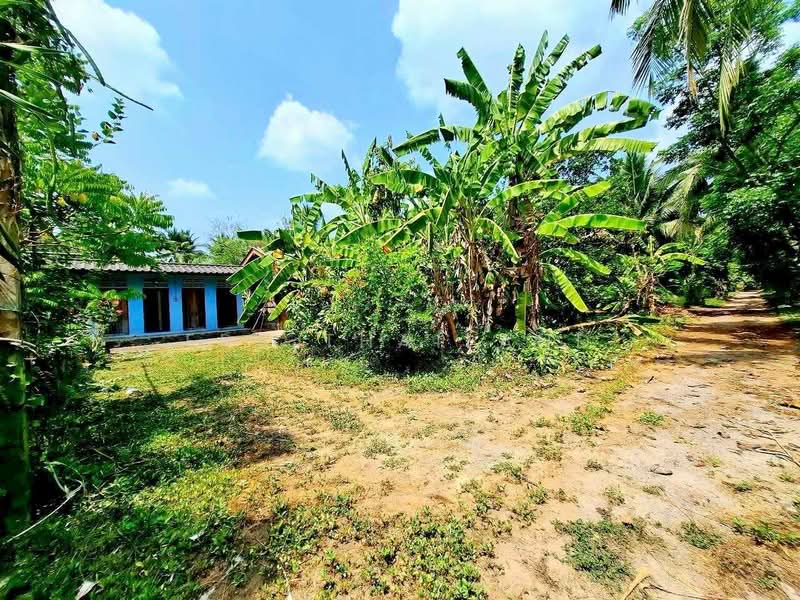 ที่ดินพร้อมบ้านสวนริมน้ำ อ.วัดเพลง จ.ราชบุรี, Ratchaburi, Wat Phleng, Wat Phleng, Ratchaburi, , 5,348 sqm, Land For Sale, by ERA Thailand, 500298691 - DDproperty.com