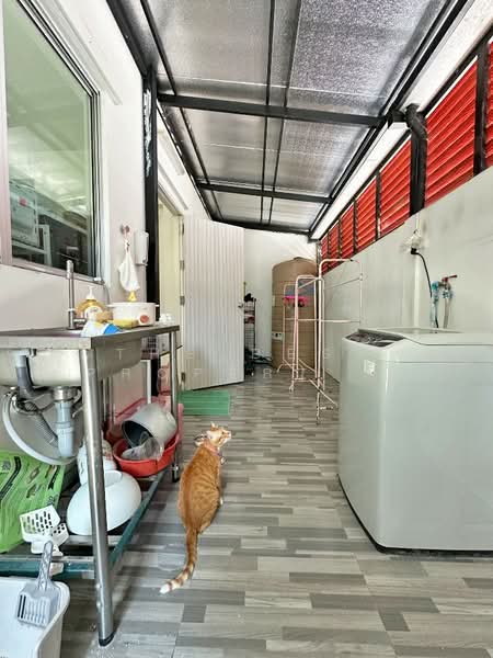 Baan Pruksa Rangsit-Bangpoon 3 : บ้านพฤกษา รังสิต-บางพูน, ปทุมธานี, ซอย บ้านพฤกษา รังสิต-บางพูน 3, บางพูน, เมืองปทุมธานี, ปทุมธานี, 100 ตร.ม., ทาวน์เฮ้าส์ ขาย, โดย The Best Property แอม, 500298777 - DDproperty.com